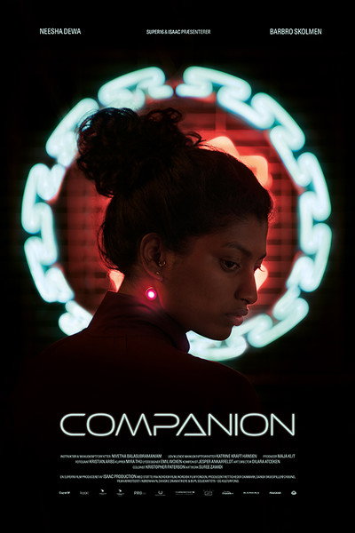 Póster de Companion