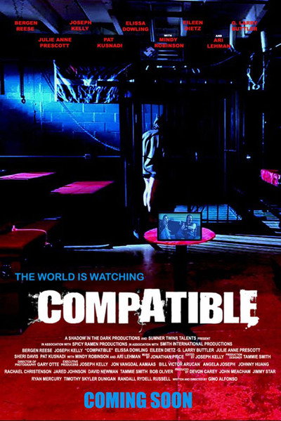 Póster de Compatible