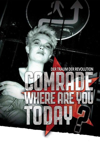 Póster de Comrade, Where Are You Today?