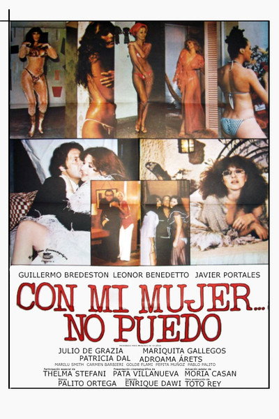 Póster de Con mi mujer no puedo