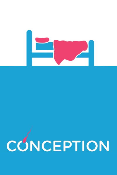 Póster de Conception