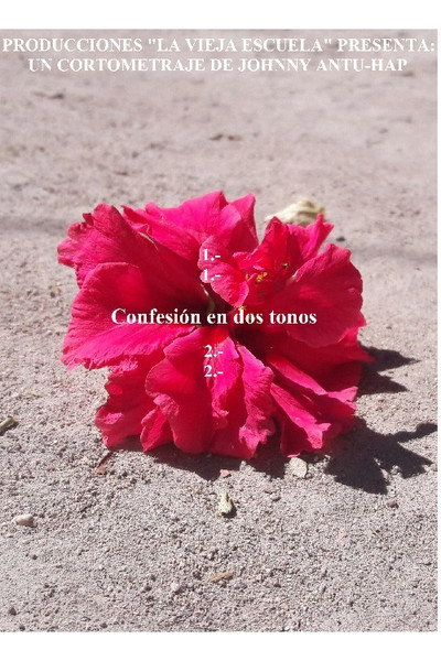 Póster de Confesión en dos tonos