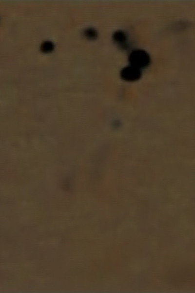 Póster de Confusion