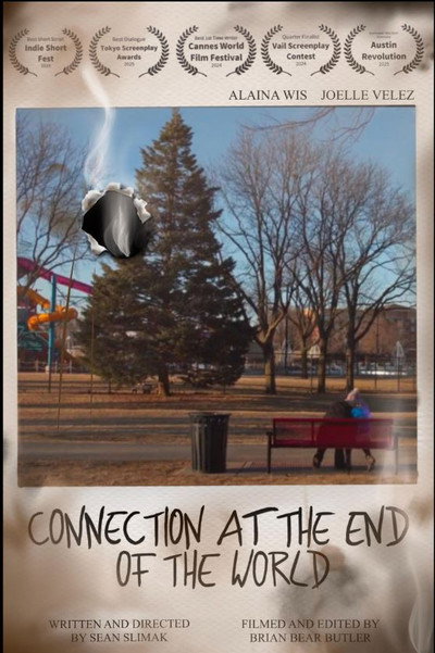 Póster de Connection at the End of the World