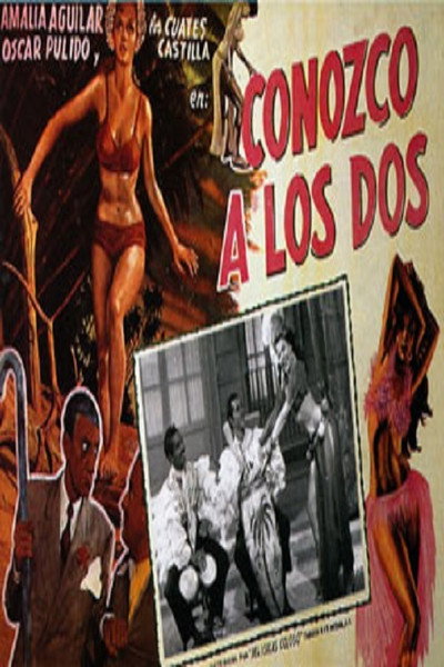 Póster de Conozco a las dos
