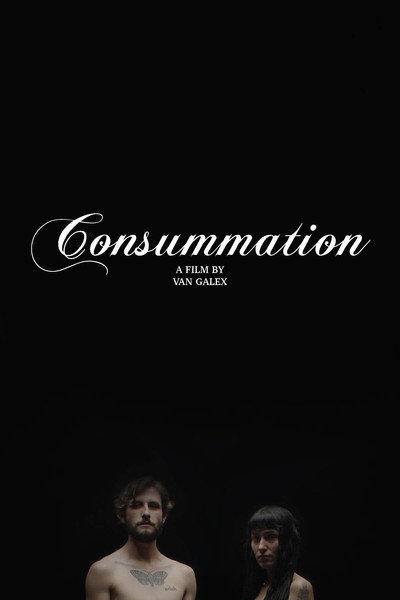 Póster de Consummation
