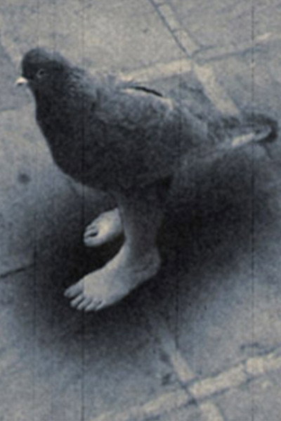 Póster de Contamination
