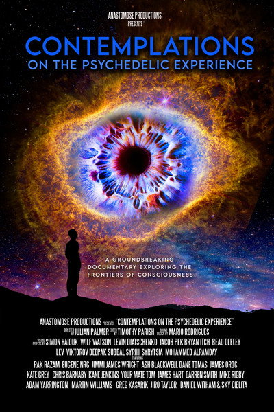 Póster de Contemplations: On the Psychedelic Experience