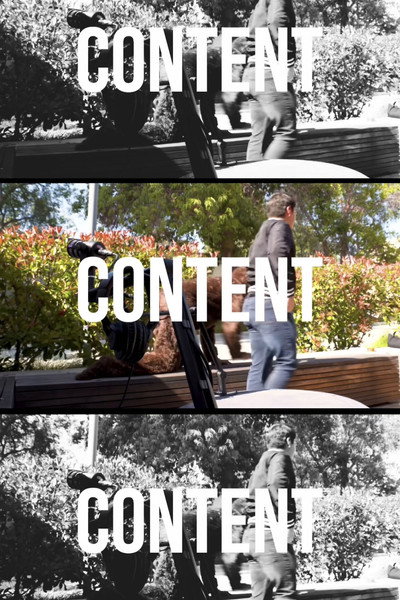 Póster de Content