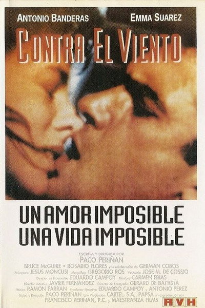 Póster de Contra el viento