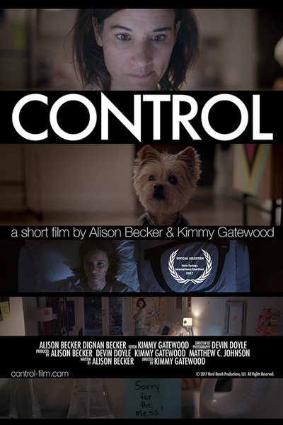 Póster de Control