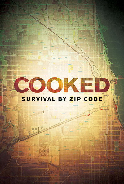Póster de Cooked: Survival by Zip Code