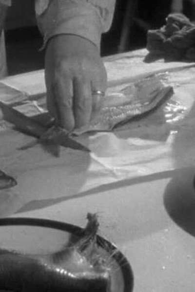 Póster de Cooking Hints: Herrings