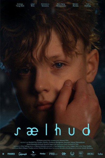 Póster de Cool Boy