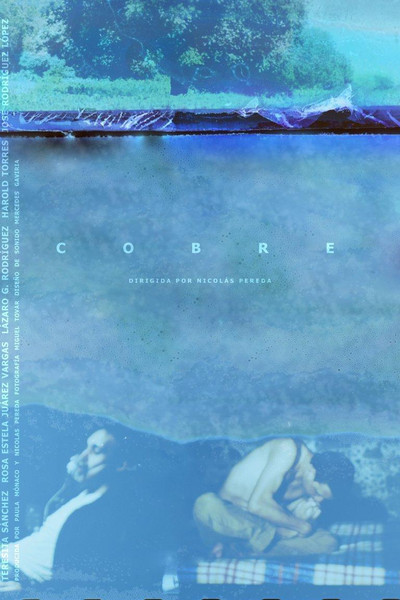 Póster de Copper