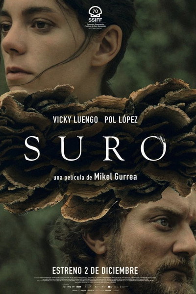 Póster de Cork