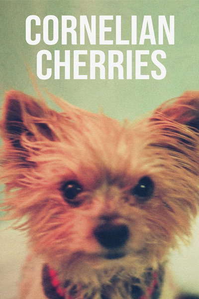 Póster de Cornelian Cherries