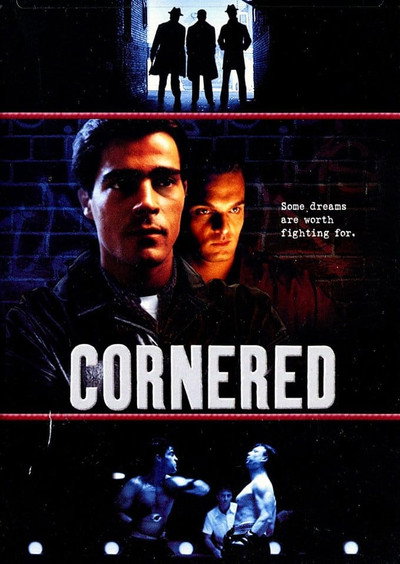 Póster de Cornered
