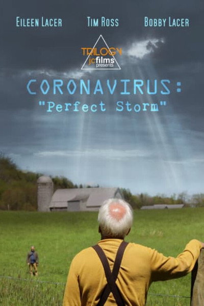 Póster de Coronavirus: Perfect Storm