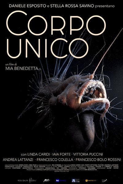 Póster de Corpo unico