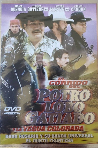 Póster de Corrido del potro lobo gatiado y la yegua colorada