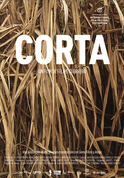 Póster de Corta