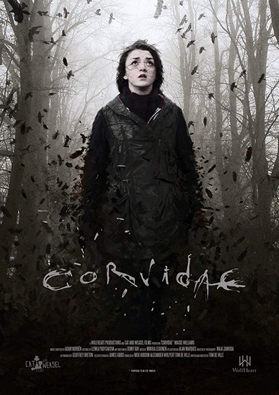 Póster de Corvidae