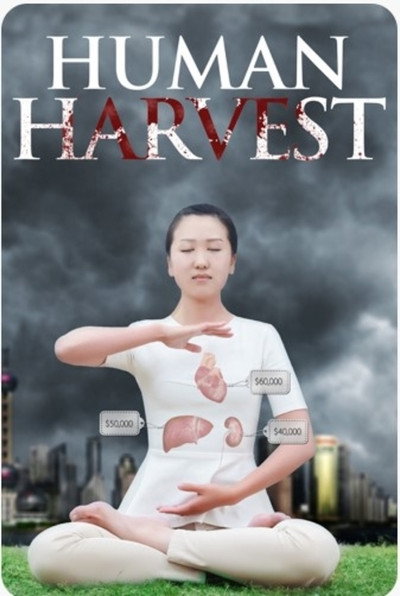 Póster de Cosecha humana: El tráfico ilegal de órganos en China