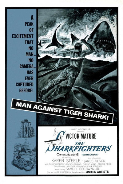 Póster de Costa de tiburones