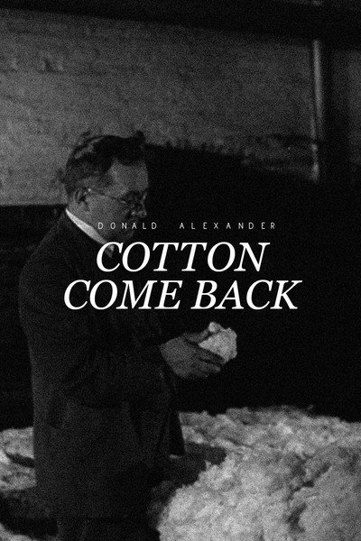 Póster de Cotton Come Back