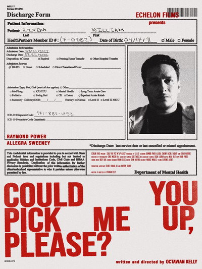 Póster de Could You Pick Me Up, Please?