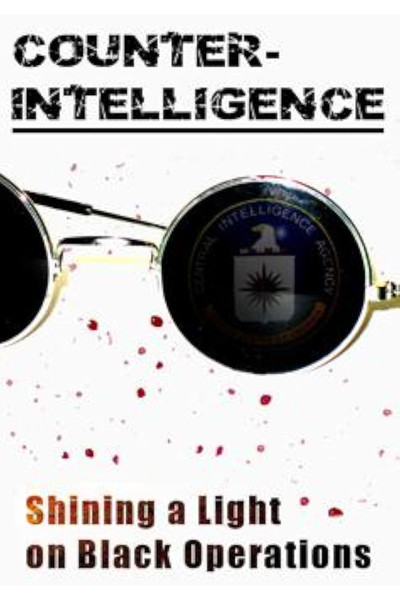 Póster de Counter-Intelligence