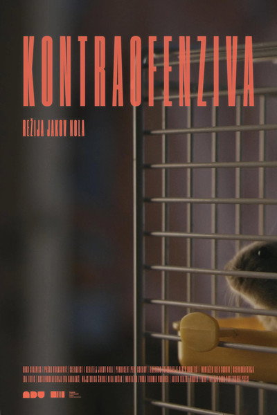Póster de Counter-offensive