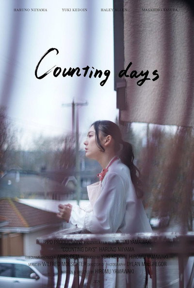 Póster de Counting Days