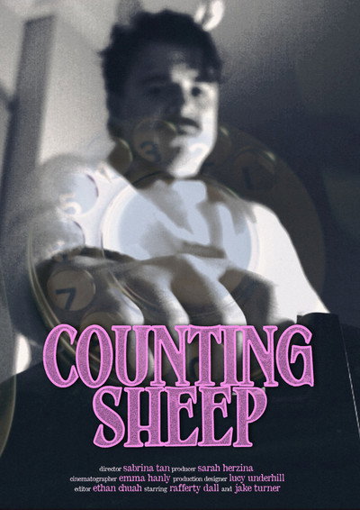 Póster de Counting Sheep