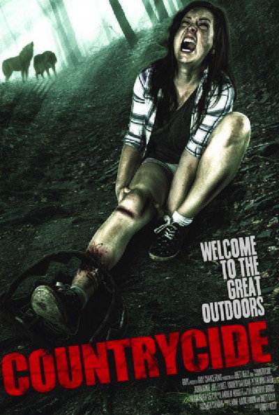 Póster de Countrycide