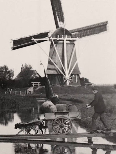 Póster de Countryside Near Amsterdam