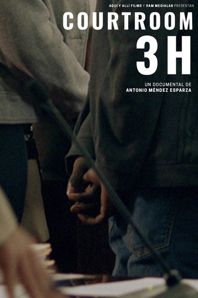 Póster de Courtroom 3H
