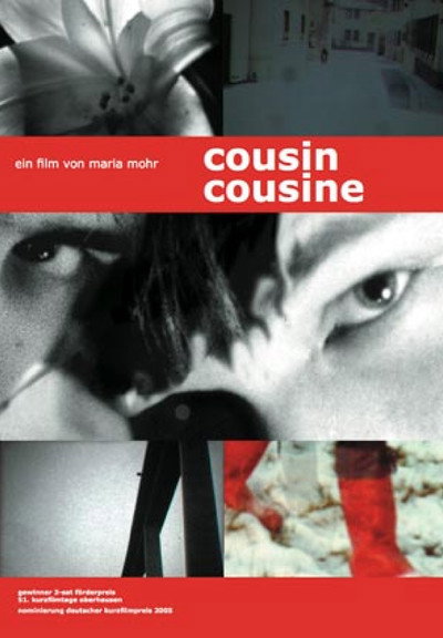 Póster de Cousin Cousine