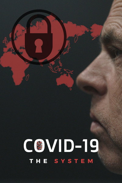 Póster de COVID-19: The System
