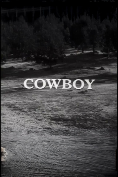 Póster de Cowboy