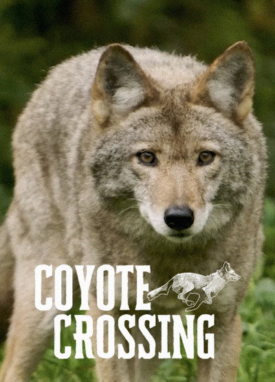 Póster de Coyote Crossing