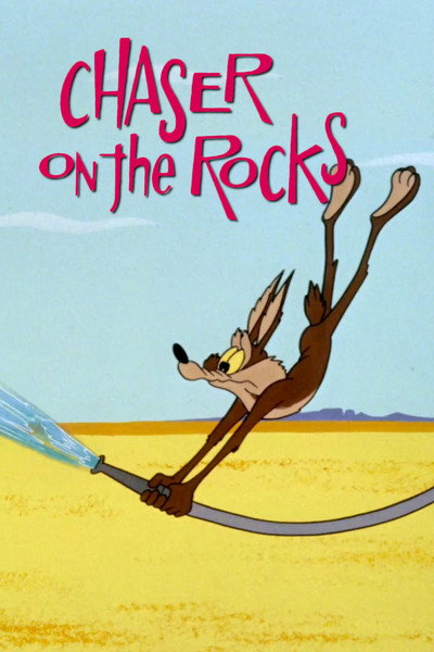 Póster de Coyote en las rocas