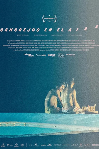 Póster de Crabs in the Air