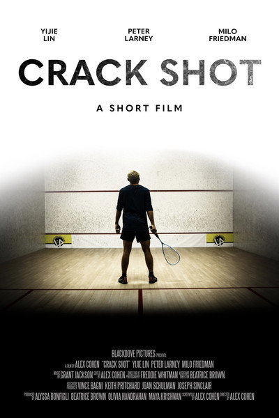 Póster de Crack Shot