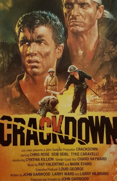 Póster de Crackdown: golpe bajo