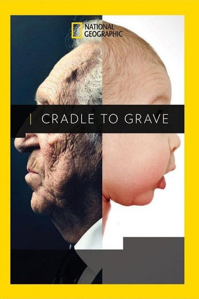 Póster de Cradle to Grave