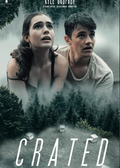 Póster de Crated