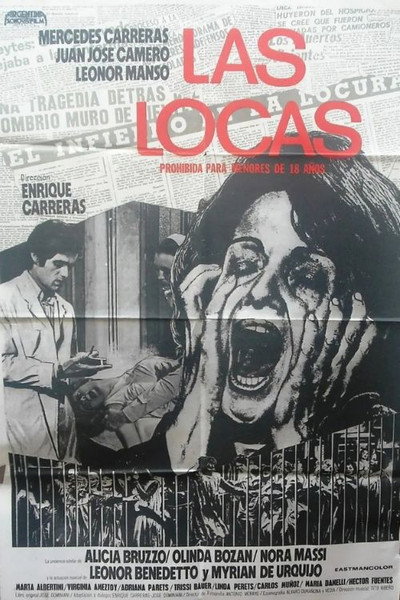 Póster de Crazy Women