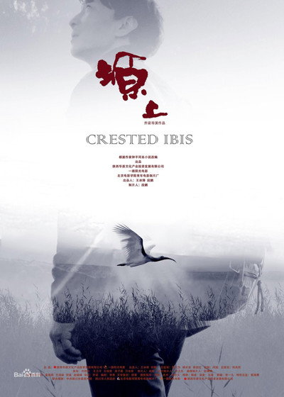 Póster de Crested Ibis